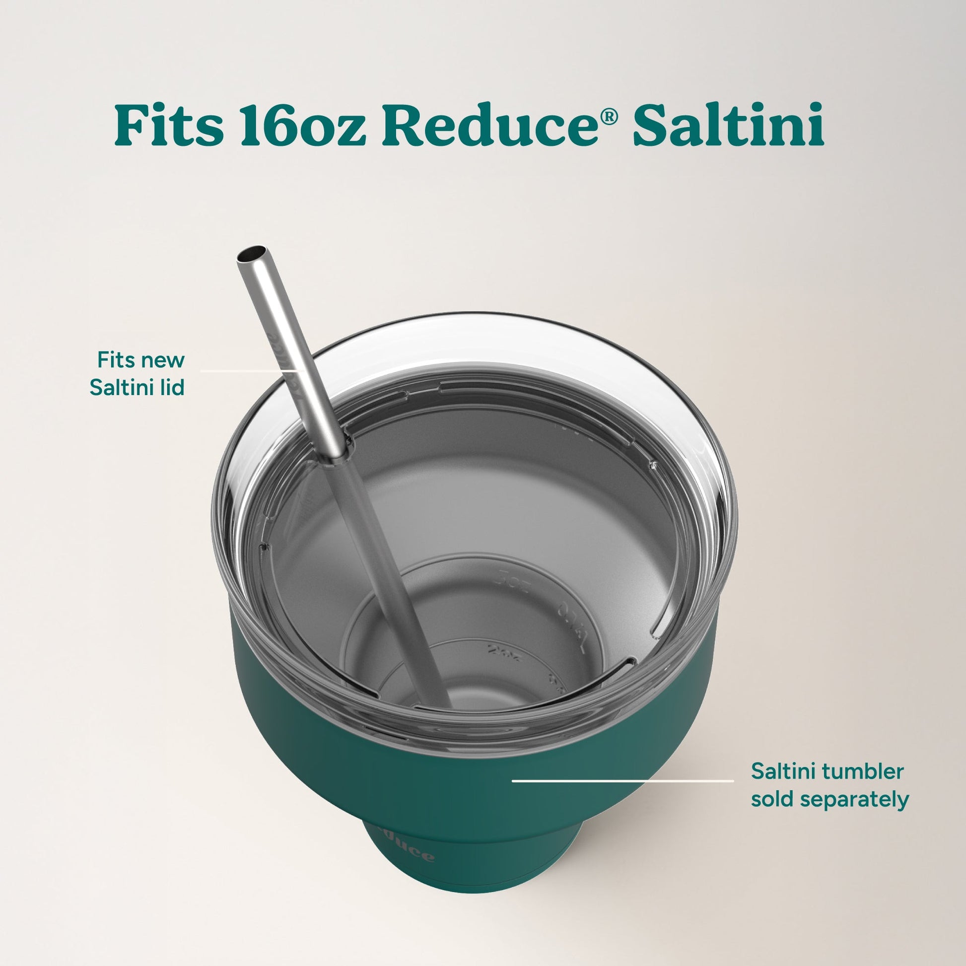 saltini-straw-set-t5 4PK_SaltiniStraws_SS-4.jpg