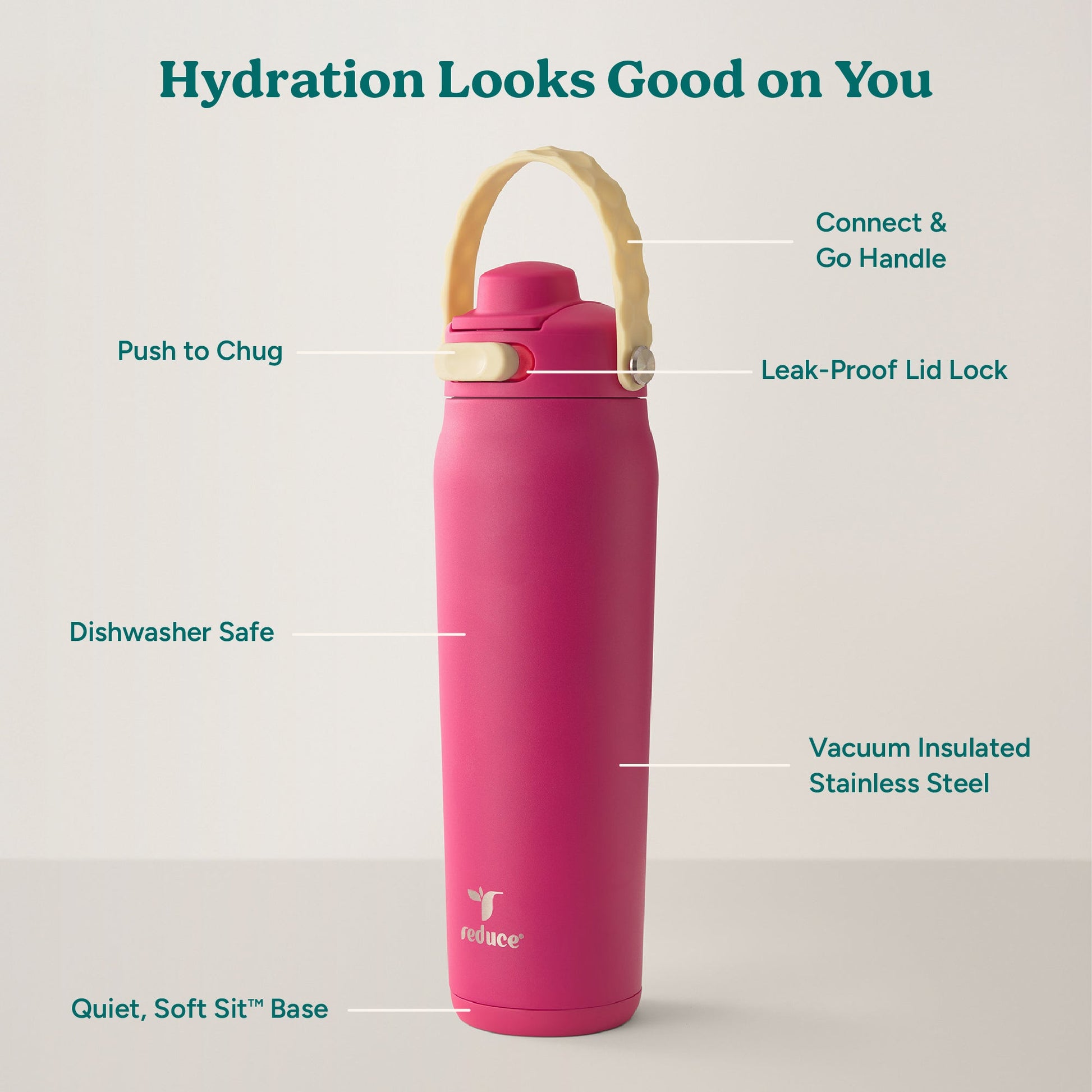 aura-26-oz-w8 Aura_26oz_DragonFruit_PDP_Infographic_2-03.jpg