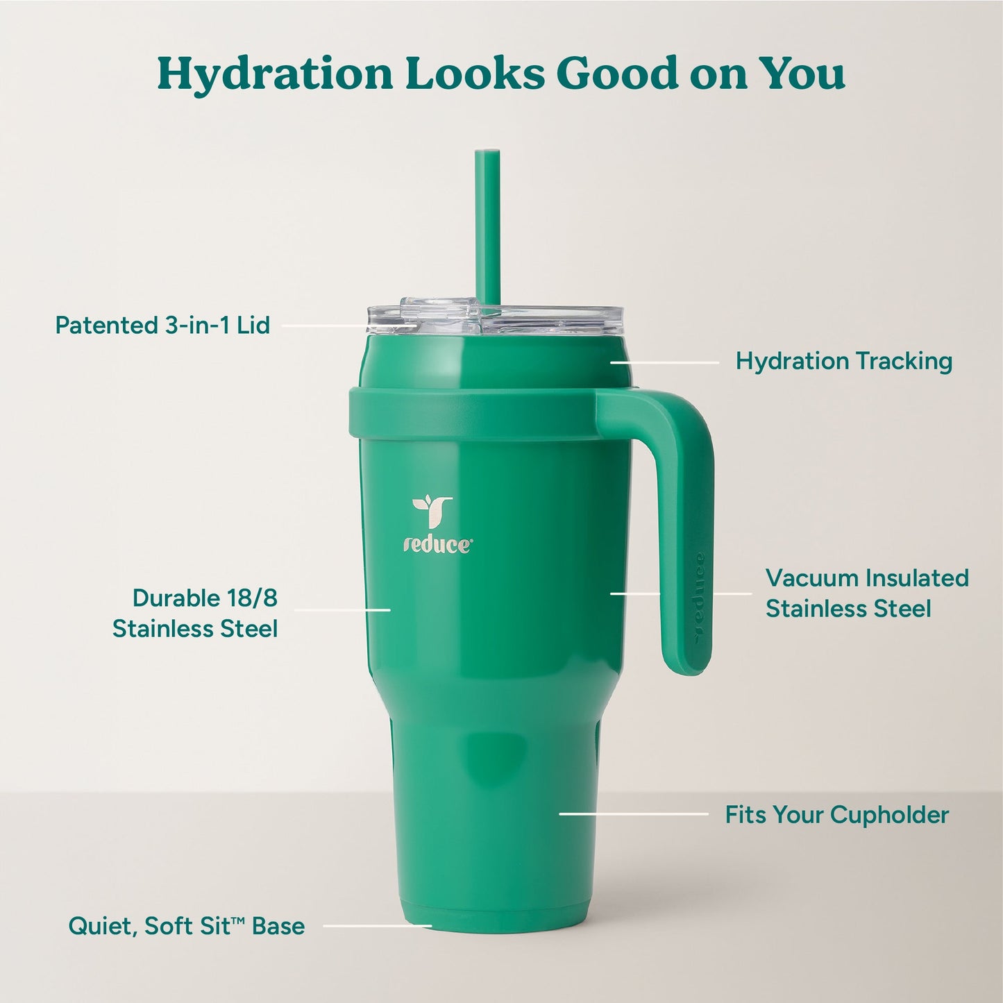 cold1-40-oz-r5 Cold1_40oz_PalmLeaf_Infographic_2.jpg