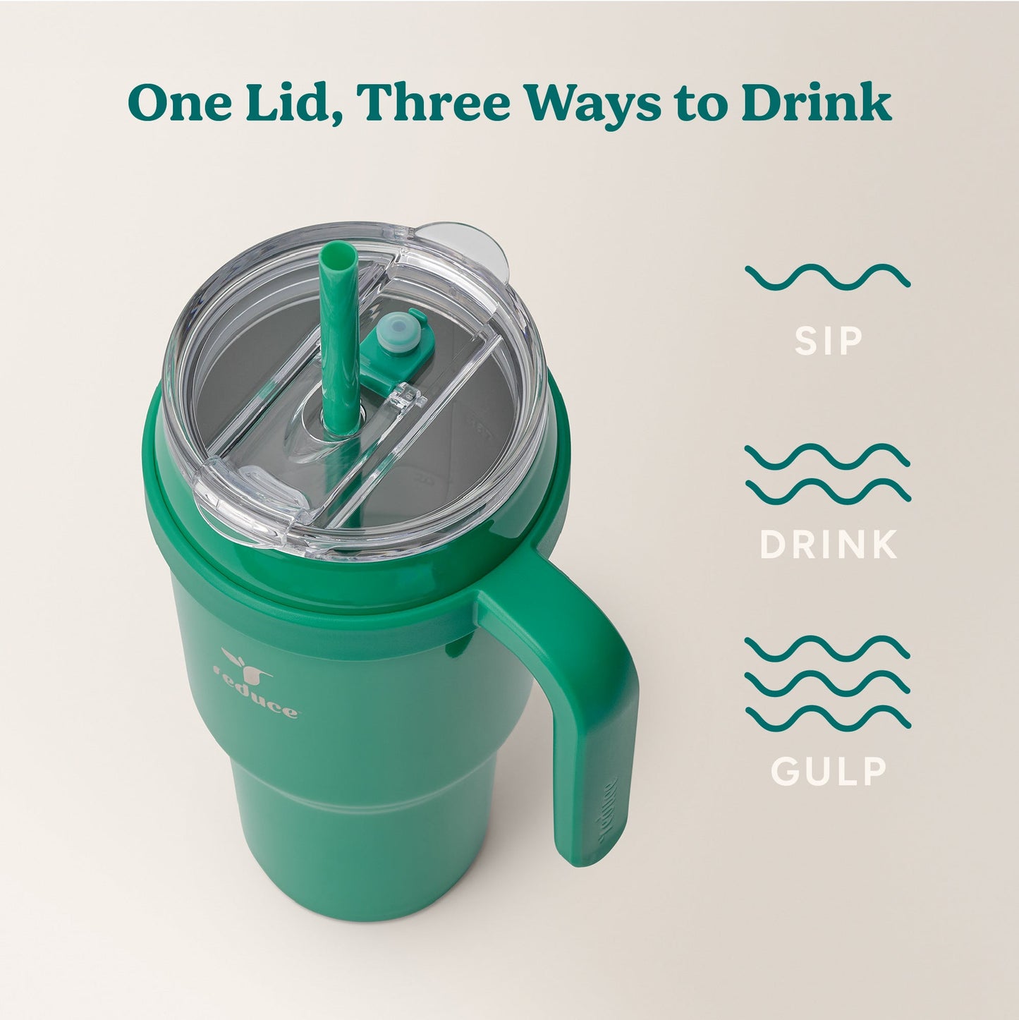 cold1-40-oz-r5 Cold1_40oz_PalmLeaf_Infographic_3.jpg