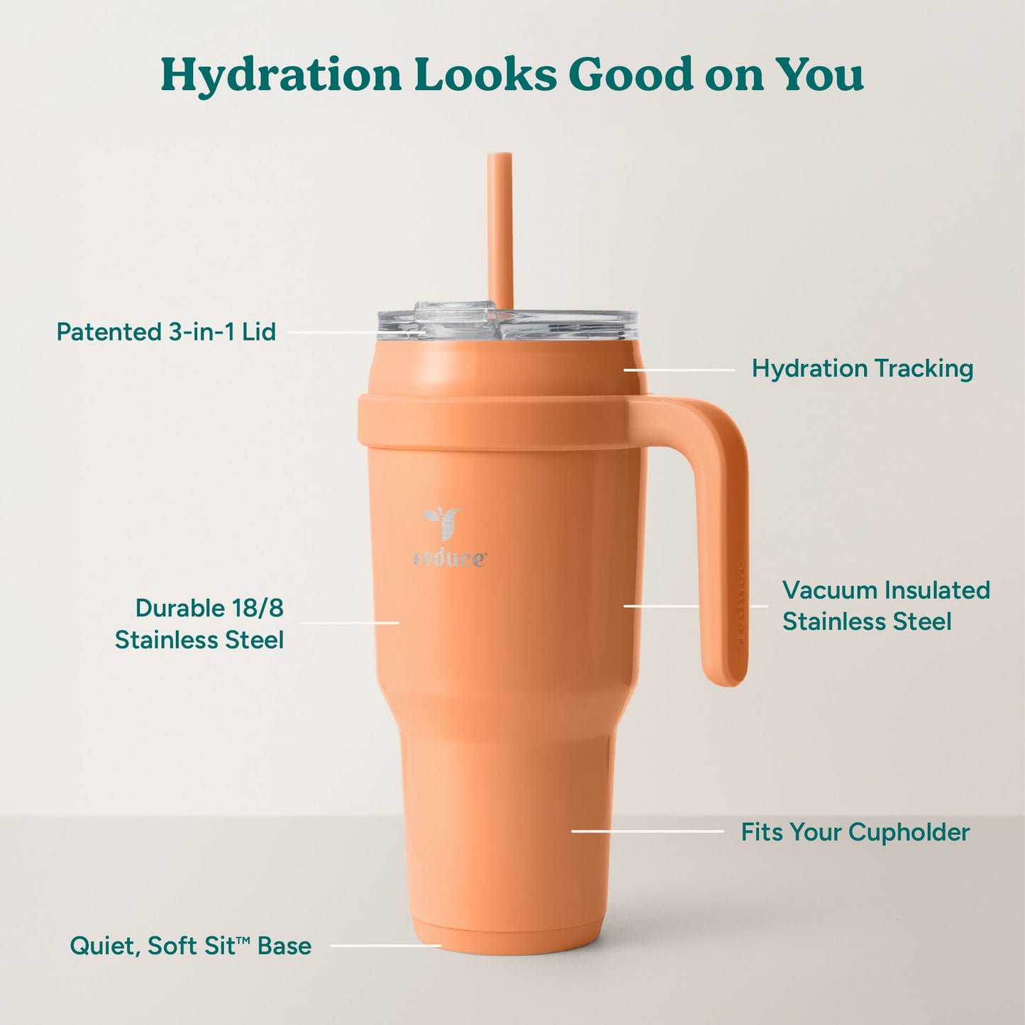 cold1-40-oz-r5 Cold1_40oz_Papaya_Infographic_2.jpg