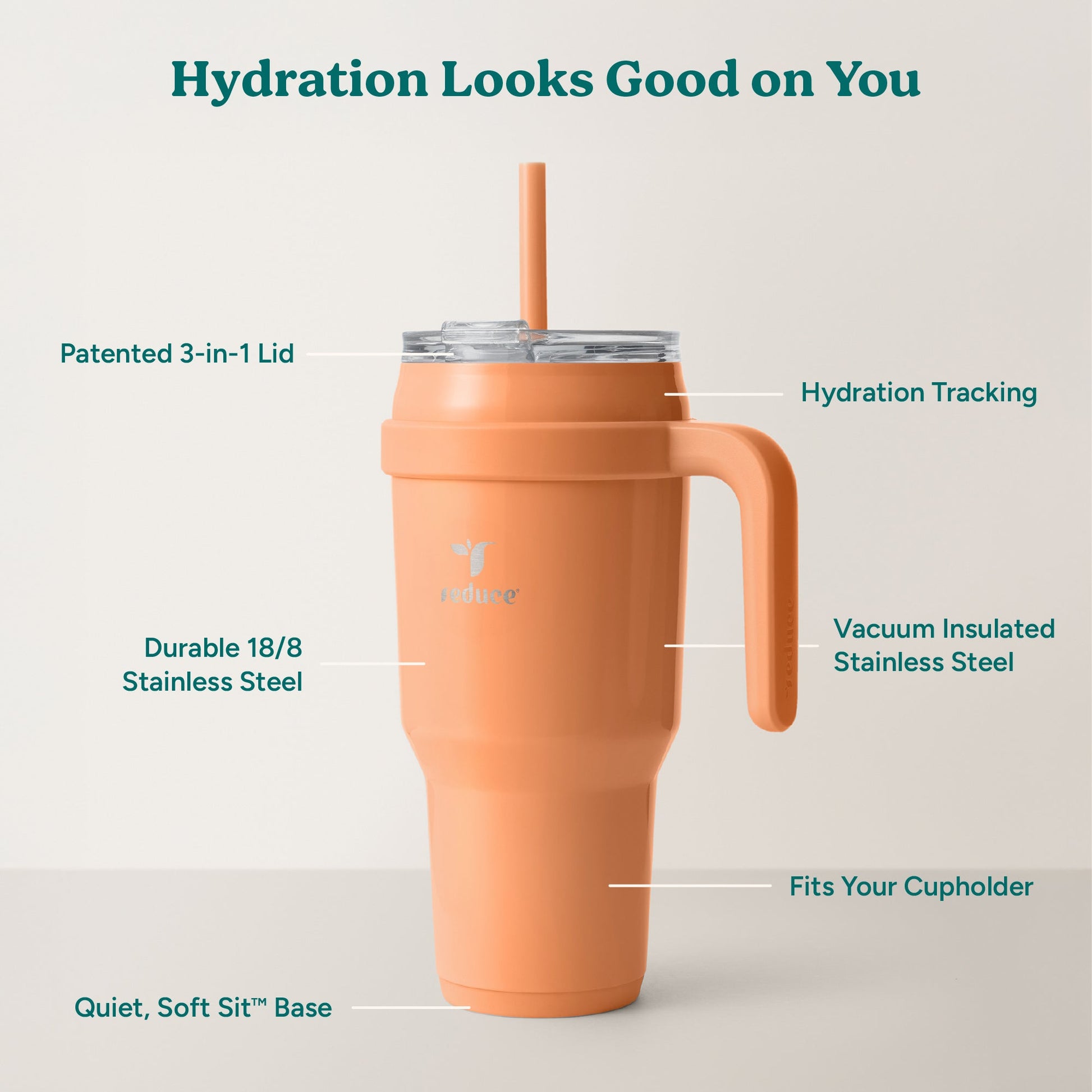 cold1-40-oz-r5 Cold1_40oz_Papaya_Infographic_2.jpg