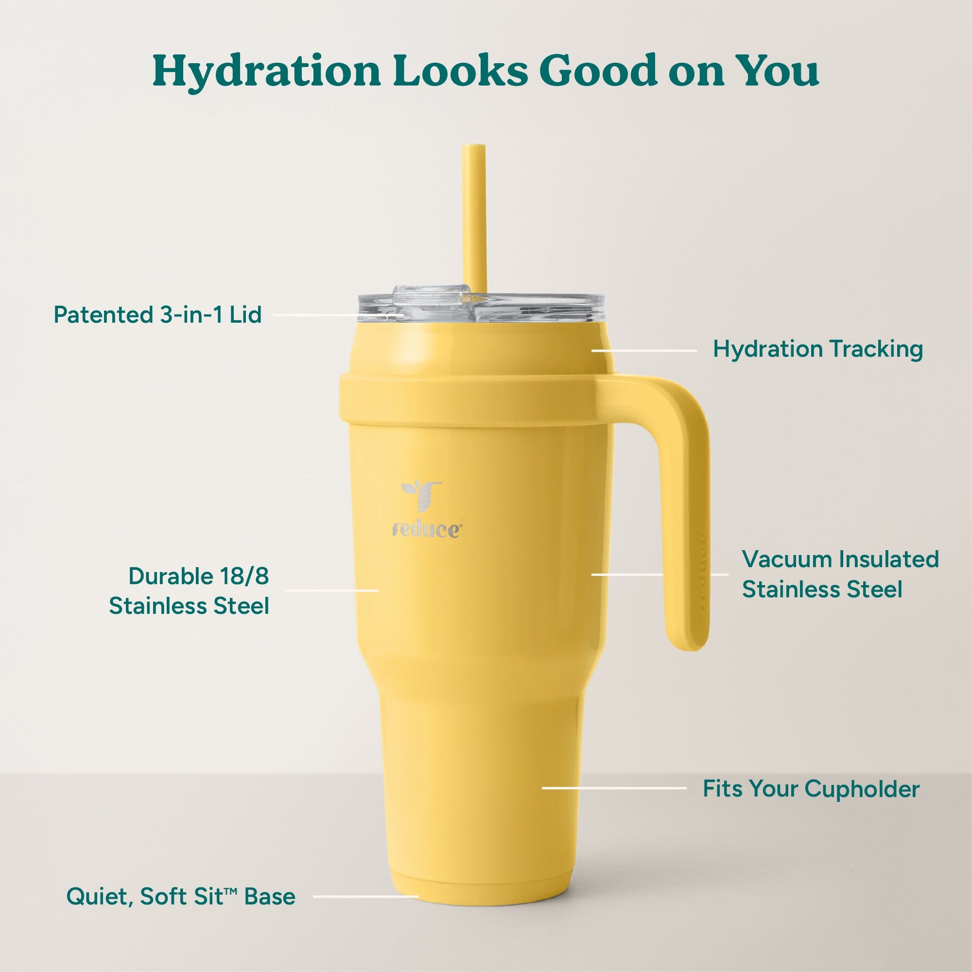 cold1-40-oz-r5 Cold1_40oz_Pineapple_Infographic_2.jpg